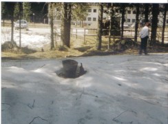 Pomlad razkriva SVINJARIJO9!