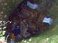 clip_image008 clip_image008