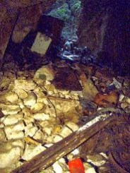 clip_image010 clip_image010