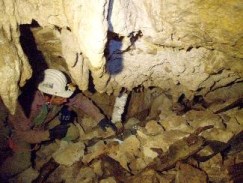 clip_image012 clip_image012