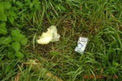 clip_image006 clip_image006