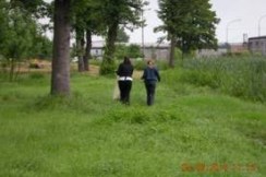 clip_image008 clip_image008