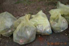 clip_image012 clip_image012