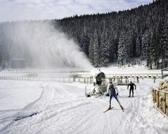 Pokljuka_022