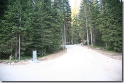 IMG_2992 Pokljuka - dolgočasne smreke nadomeščamo s kandelabri LR