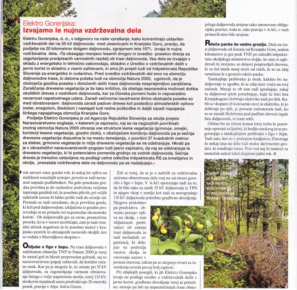 Daljnovod Jes-Rateče_0005