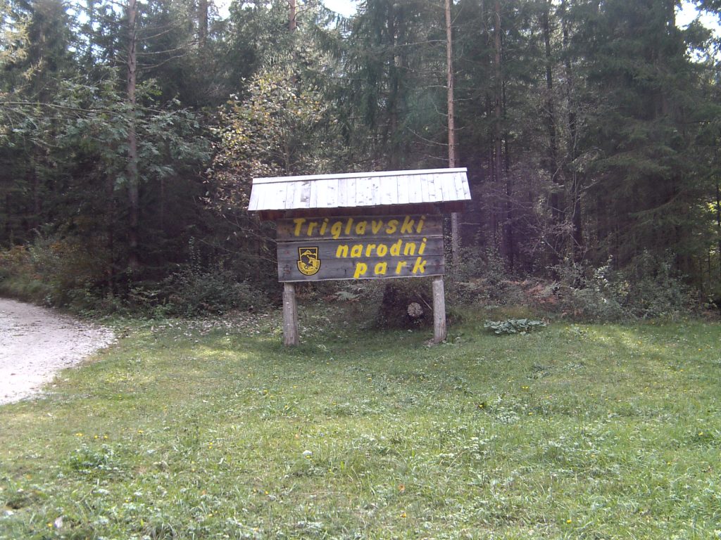 My beautiful picture