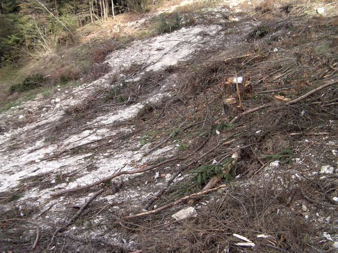 My beautiful picture