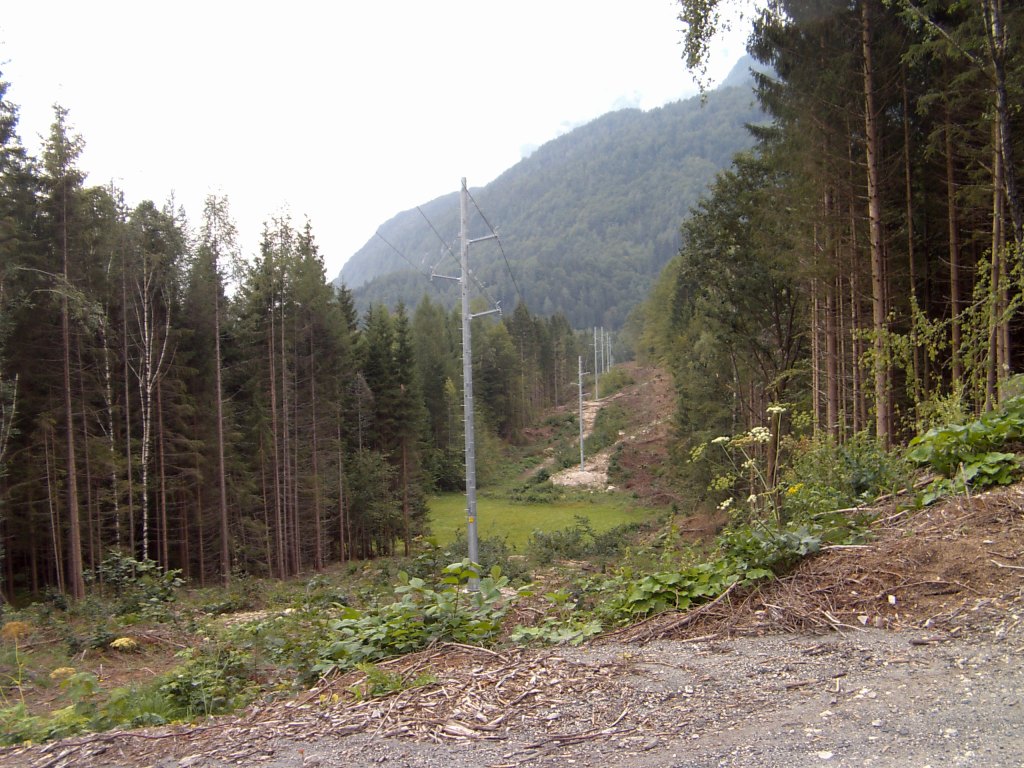 My beautiful picture