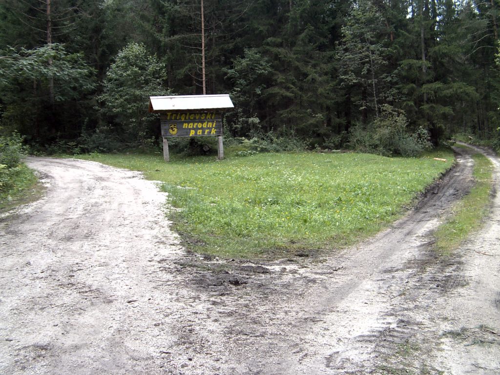 My beautiful picture