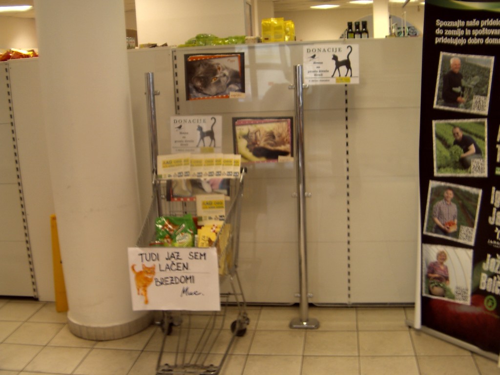 My beautiful picture