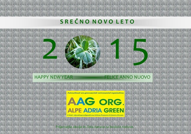 1 Novo leto 2015-page-001