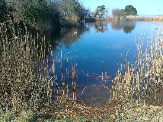 100320154513[1]_Fiesa_odstranjeno trsticje