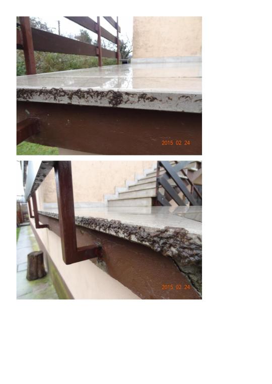 Izpust  24.2.2015-page-002