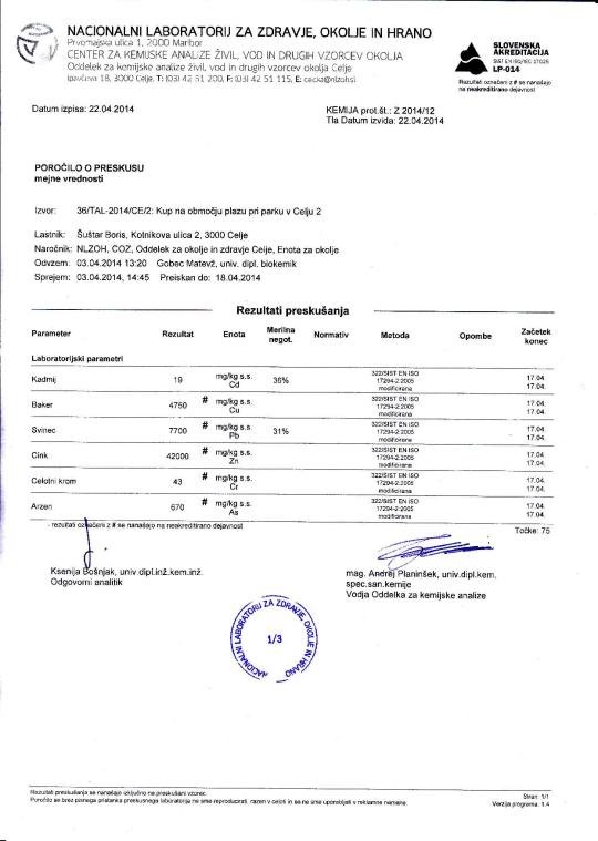 Analiza celjski park-page-001