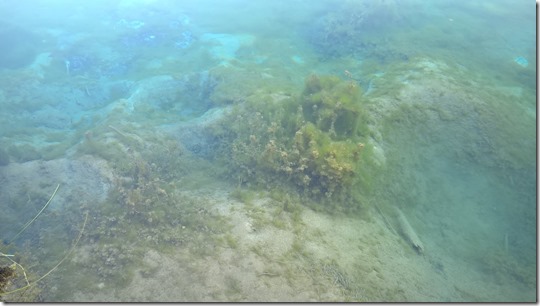 Eko patrulja - Voda - Zelenci1