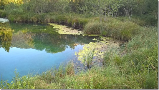 Eko patrulja - Voda - Zelenci