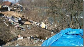 17431399_1391965647529092_1743732907_o