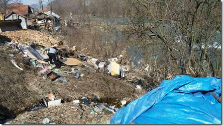 17431399_1391965647529092_1743732907_o