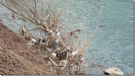 17439921_1389107457814911_1703988689_n