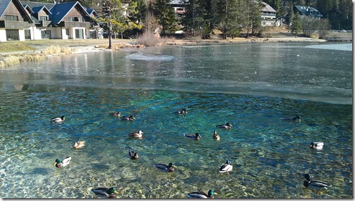 WP_20161217_10_56_31_Pro