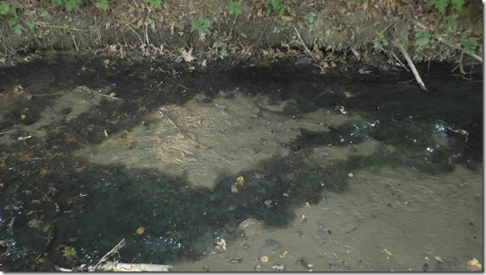 zaradi ind. cone Laze onesnažen potok Sorška reka (Stražišče pri Kranju) - 2017-07-21 18-45-11