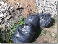 43450457_627453914323109_9222435149868695552_n