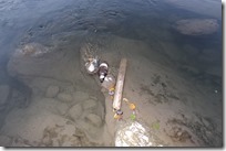 43577713_627454994323001_3692734248839544832_n