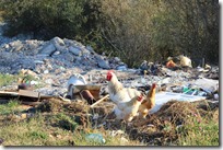 43615006_627454130989754_8150874125578010624_n