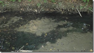 zaradi ind. cone Laze onesnažen potok Sor&scaron;ka reka (Straži&scaron;če pri Kranju) - 2017-07-21 18-45-11