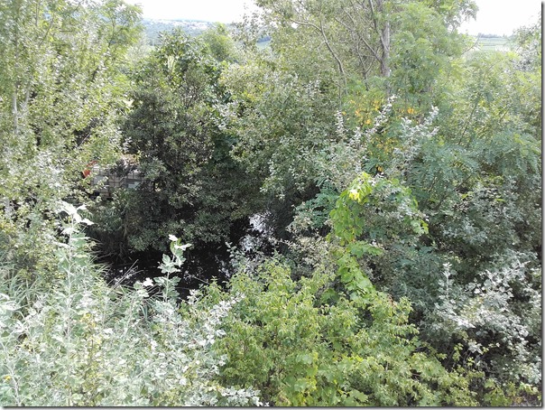 Razbremenilnik_reke_Rižane_ob_katerem_je_deponija_soli_20190822_123514