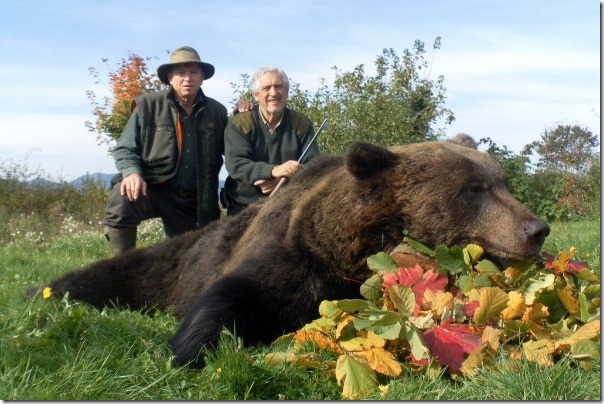 medved-trofejni posnetek