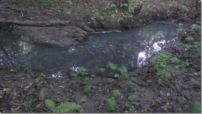 zaradi ind. cone Laze onesnažen potok Z od ind. c. (Straži&scaron;če pri Kranju) - 2017-07-21 19-08-44