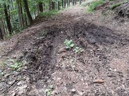 VOŽNJA Z MOTOKROS - POSLEDICE