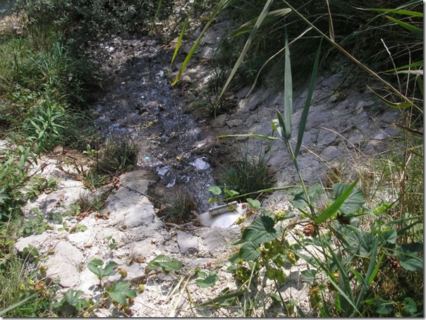 izpust-v-desigrimata