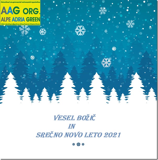 Merry christmas card with winter tree shiny glitters background