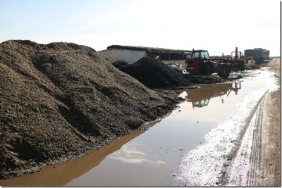 I ugalj, i &scaron;ljunak, i pesak, i ovce, i seno,...na javnoj povr&scaron;ini (1)