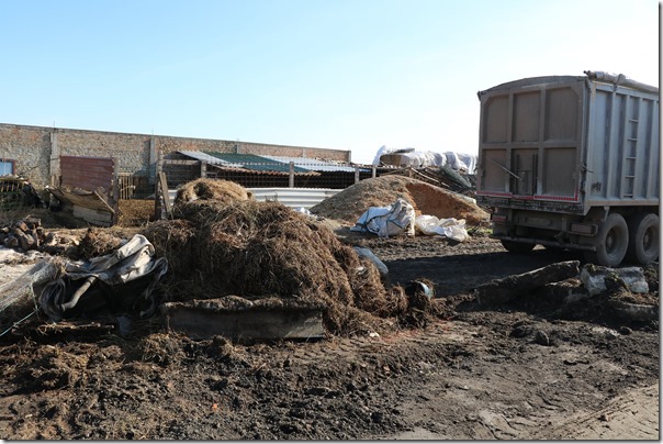 U ovom prosturu gaje ovce