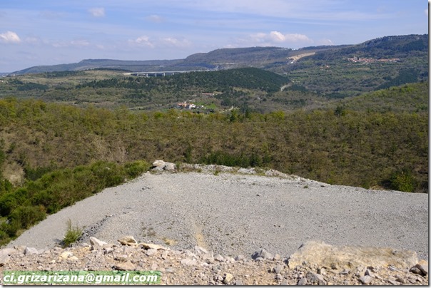 griza-crniKal-DSCF7900