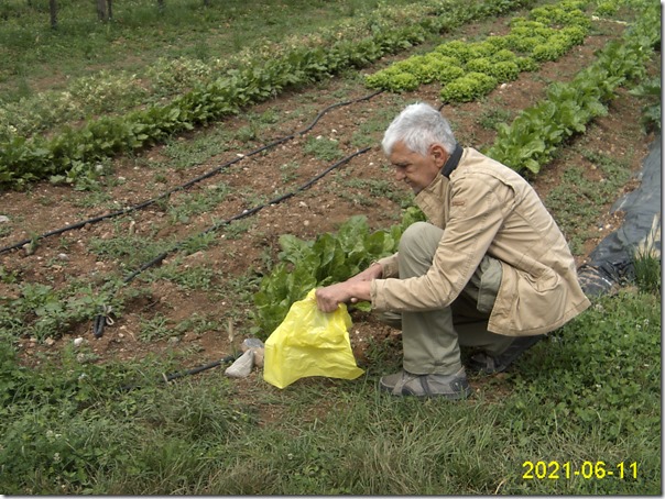 jemanje vzorca zemljine - vtojba